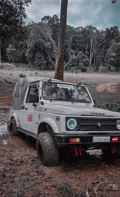 身實力強勁 身實力強勁