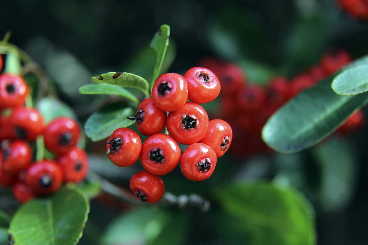 低冲击有氧 低冲击有氧